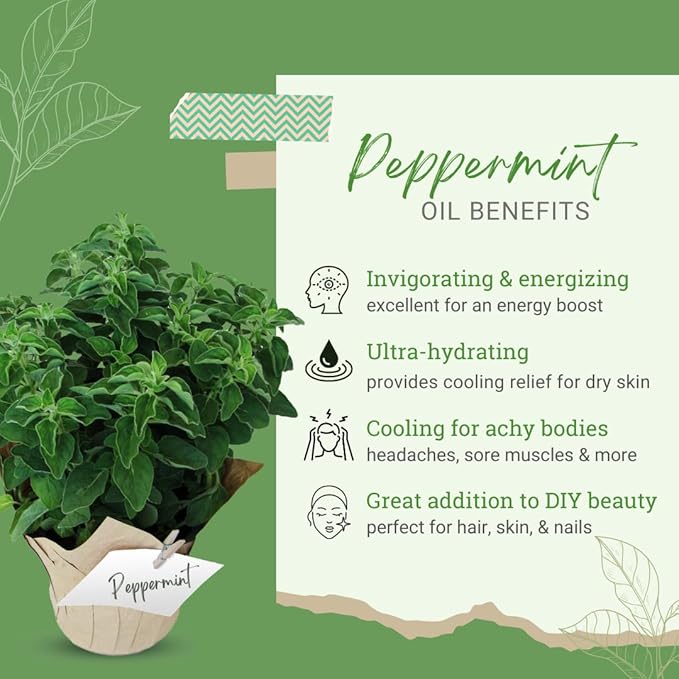 GreenHealth Peppermint Essential Oil – 100% Pure & Uncut Mentha Piperita – 1 Gallon (128 fl oz) – Bulk Size for Candle Making, Soap Making, Aromatherapy, Diffusers, DIY, Home & Office Fragrance