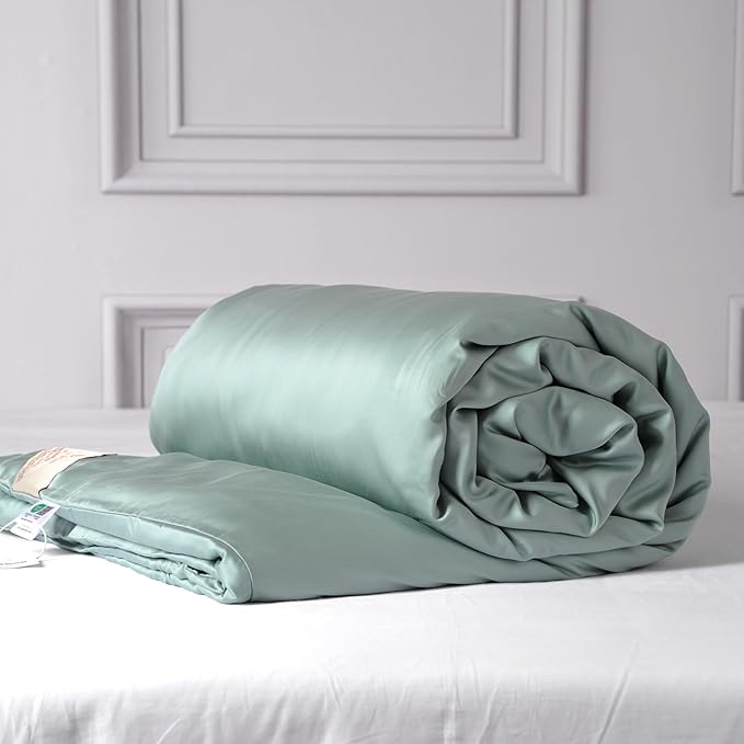 CUDDLE DREAMS Silk Filled Comforter for All Season, Detachable Tencel Duvet Cover for Easy Care, Naturally Breathable (Celadon, Queen)