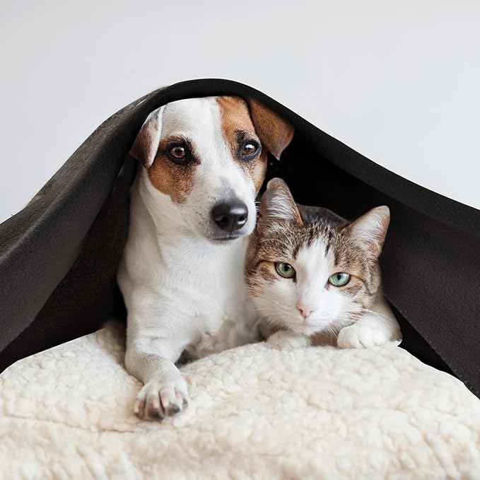 (24 Pack) Bulk Fleece 50x60 Throw Blankets for Wedding Favors, Homeless Women, Men, Homes, Bed, Sofa, Couch, Office, Pet Blankets, Travel | Soft Warm Lightweight Throw Blankets in Bulk (Black)