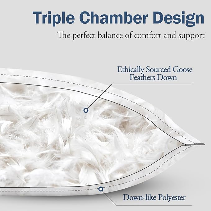 BPC Goose Feather Down Pillows King Size Set of 2, Luxury Hotel Collection Bed Pillows for Sleeping, 100% Organic Cotton Cover, Fluffy and Soft Support Surround Fill Polyester, Medium Firm, 20"x36"