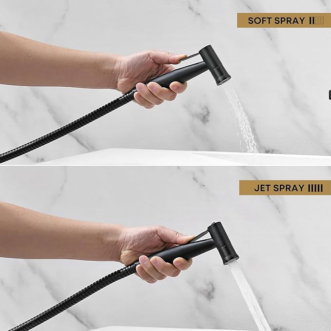 Purrfectzone Bidet, Stainless Steel Jet Spray for Toilet, Wall-Mounted - Matte Black
