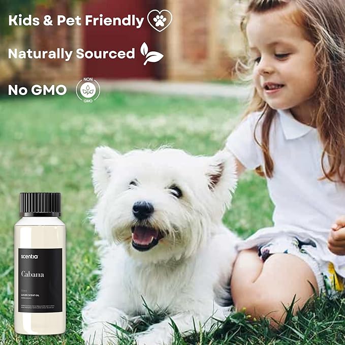 Scentia Hotel Diffuser Oil Inspired by 5-Star Hotel Scent - 120 mL 4.06 fl oz - Essential Oil Blend Botanical Jasmine, Bergamot & Fresh Notes for Aromatherapy Diffusers - Cabana, Thanksgiving Gift