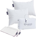 Lincove Recreation Sleeping Pillow, Filled with Premium Down, 600 Fill Power – Includes A Pillow Protector, 400 Thread Count Pillow Shell, Standard - Medium, 2 Pack