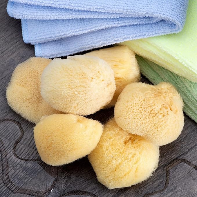 Sea Silk Sponge 6pc Kit, Hand Cut, Small, Approx. 1-2 inches, Ideal for Cosmetic Use and Facial Cleansing