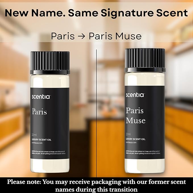 Scentia Hotel Diffuser Oil Inspired by The Hotel Costes Paris - 20 mL 0.67 fl oz - Fragrance Oil Blend Rose, Clove & Sandalwood for Aromatherapy Diffuser & Humidifiers - Paris, Thanksgiving Gift