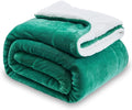 SOCHOW Sherpa Fleece Throw Blanket, Double-Sided Super Soft Luxurious Plush Blanket Twin Size, Malachite Green, 60x80 inches