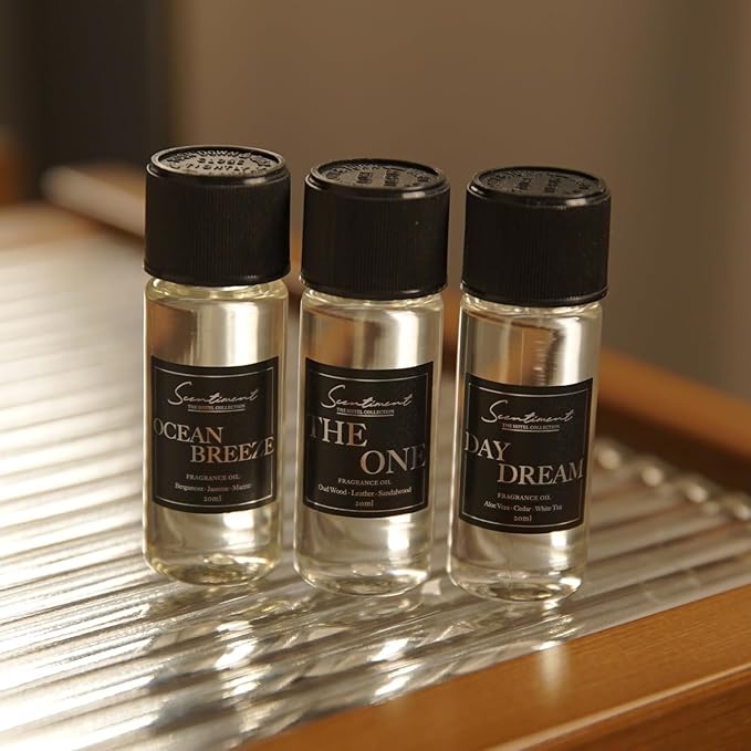 Scentiment Diffuser Oil - Top 3 Winter Collection Scent Samples | Aromatherapy Home Fragrance | Luxurious Scent with Notes of Cinnamon Vanilla, Balsam Fir, Winter Warmth (20ml)