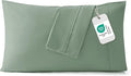 Bedsure Queen Pillow Cases Set of 2 - Sage Green Brushed Microfiber Pillowcase 2 Pack, Super Soft and Cozy Pillow Case Covers with Envelope Closure, Wrinkle, Fade and Stain Resistant, 20x30 Inches
