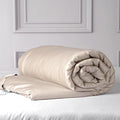CUDDLE DREAMS Silk Filled Comforter for All Season, Detachable Tencel Duvet Cover for Easy Care, Naturally Breathable (Light Pewter, Queen)