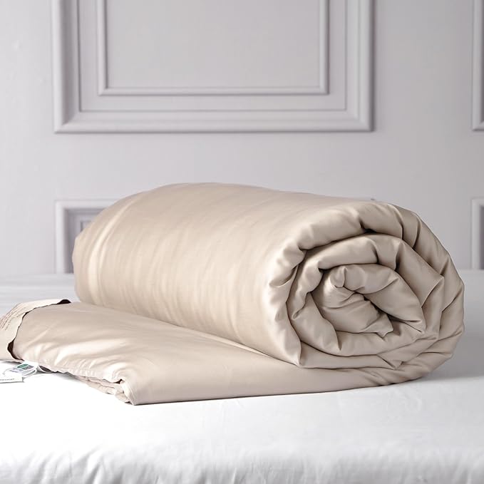 CUDDLE DREAMS Silk Filled Comforter for All Season, Detachable Tencel Duvet Cover for Easy Care, Naturally Breathable (Light Pewter, Queen)
