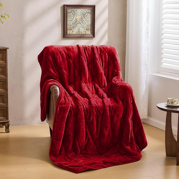Super Fuzzy Soft Sherpa Fleece Weighted Blanket, 20 lbs Dual Sided Fluffy Heavy Weighted Blankets for Adults - No Bunching with Double Layers of Soft Inner Lining (60"x 80", 20 Pounds)