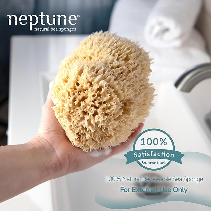 Neptune Sea Wool Sponge – Natural Mediterranean Bath Sponge, Hand-Cut, Extra-Large, Approx. 8-9", Gentle Exfoliation for Body & Skincare