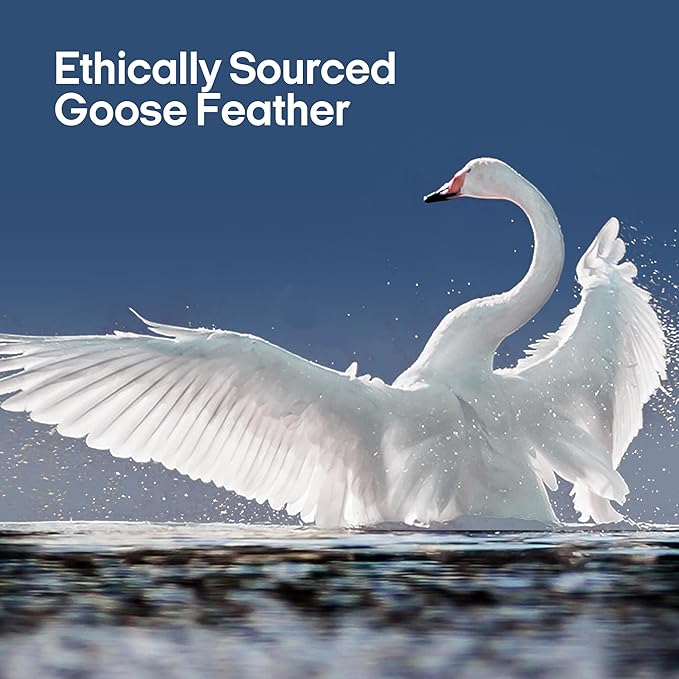 puredown® Goose Feathers and Down Pillows, Premium Medium to Firm Bed Pillows for Sleeping, Luxury Pillows with 100% Cotton Cover, 2 Pack, King Size, 20x36 Inches