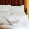 CUDDLE DREAMS Silk Comforter for Spring/Summer/Fall, 100% Long-Strand Silk Filling, Natural & Breathable (Queen Size)