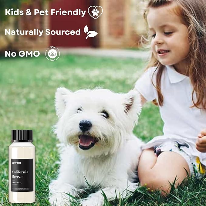 Scentia Hotel Diffuser Oil Inspired by The Delano Beach Club Hotel Scent - 120 mL 4.06 fl oz - Fragrance Oil Blend Orange, Green Tea for Aromatherapy Diffusers - California Breeze, Thanksgiving Gift