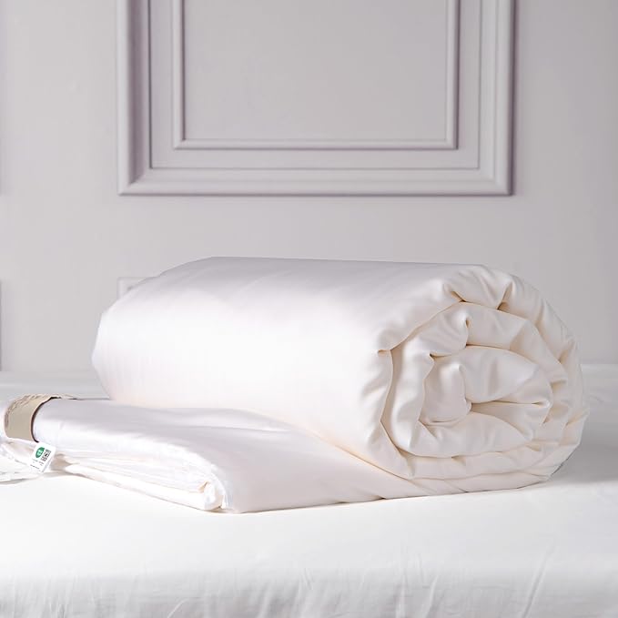 CUDDLE DREAMS Silk Filled Comforter for All Season, Detachable Tencel Duvet Cover for Easy Care, Naturally Breathable (White, Twin)