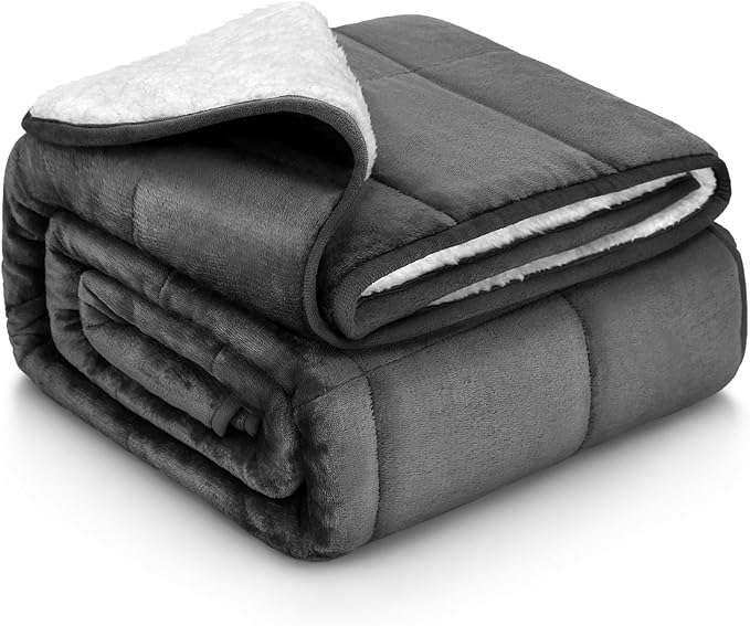 Weighted Blanket Twin Size 10 Pounds 48x72 inches, Sherpa Fleece Throw Blanket for Teens with Soft Plush Flannel Top, Fuzzy Fluffy Cozy Warm and Thick Heavy Blanket for Winter