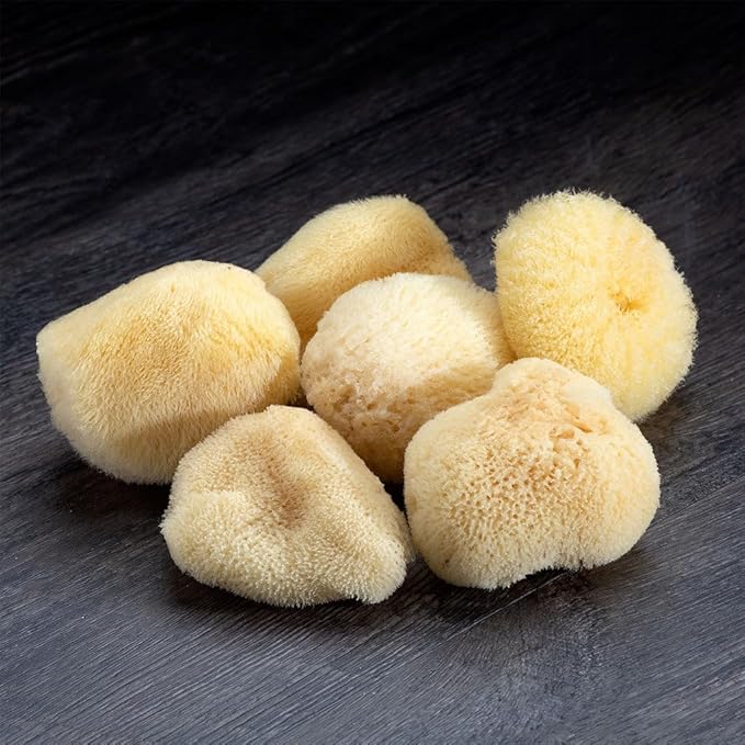 Sea Silk Sponge 6pc Kit, Hand Cut, Small, Approx. 1-2 inches, Ideal for Cosmetic Use and Facial Cleansing