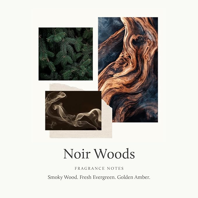 Thymes Noir Woods Scented Candles for Home Decor – Notes of Fresh Evergreen, Smoky Wood & Golden Amber – Luxury Home Fragrance Gifts for Women & Men – Burns Up to 40 Hrs (Boxed Votive Candle, 6.5 oz)