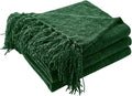 CozeCube Chenille Throw Blanket for Couch, Cozy Plush Fuzzy Decorative Christmas Green Blanket with Fringe Tassels, Lightweight Throws for Bed Sofa Gift Home Decor, 50"X60"