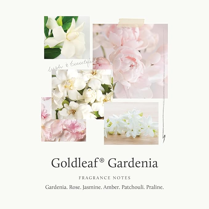 Thymes Aromatic Jar Candle - Goldleaf Gardenia Scented Candle for a Floral Home Fragrance - Matte White Candles (7.5 oz)