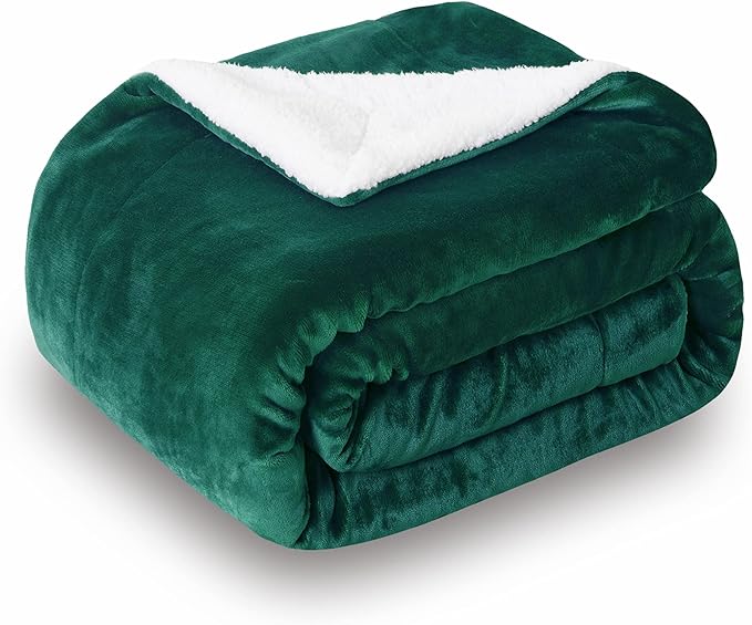 SOCHOW Sherpa Fleece Throw Blanket, Double-Sided Super Soft Luxurious Plush Blanket King Size 90 inchx108 inch, Green