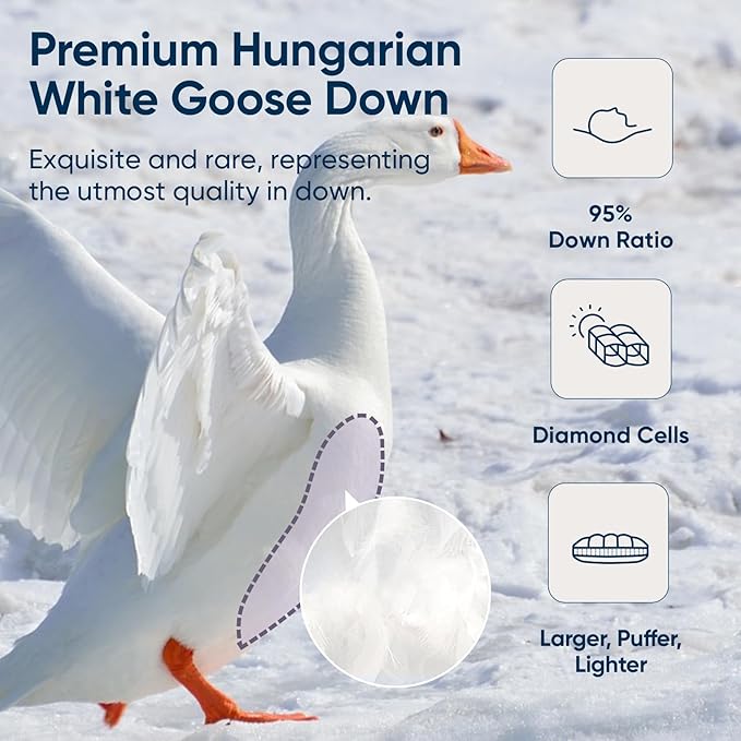 Vesta Hungarian Down Low Loft Pillow, 95% Goose Down Core, Baffle Boxe Design for Optimal Fluffiness, Ideal for Back & Stomach Sleepers, Low to Medium Profile (3.5" Height) & Soft - PlumZen