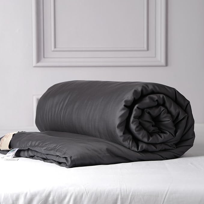 CUDDLE DREAMS Silk Filled Comforter for All Season, Detachable Tencel Duvet Cover for Easy Care, Naturally Breathable (Steel Gray, Queen)