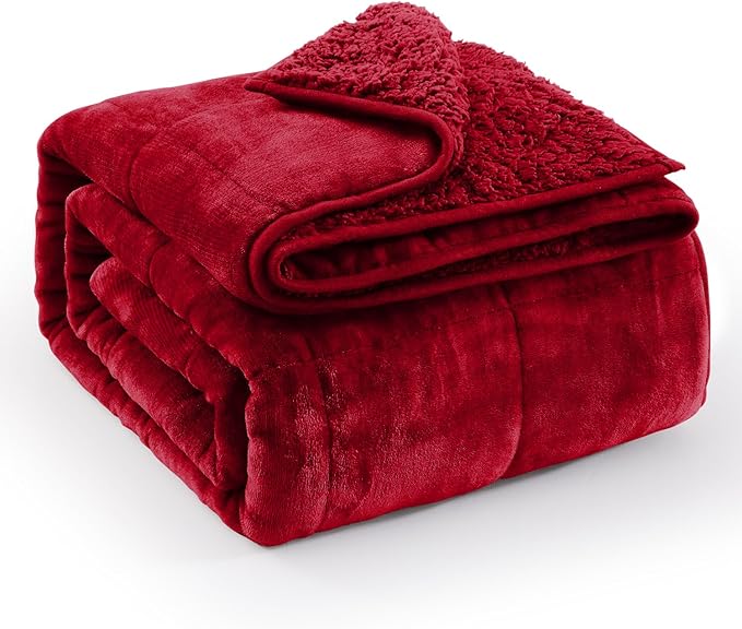 Super Fuzzy Soft Sherpa Fleece Weighted Blanket, 20 lbs Dual Sided Fluffy Heavy Weighted Blankets for Adults - No Bunching with Double Layers of Soft Inner Lining (60"x 80", 20 Pounds)