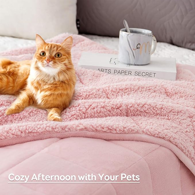 Sivio Sherpa Fleece Weighted Blanket for Adult, 15 lbs Heavy Fuzzy Throw Blanket with Soft Plush Flannel, Reversible Queen Size Super Soft Extra Warm Cozy Fluffy Blanket, 60x80 Inches Dual Sided Pink