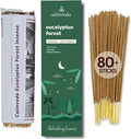 Forest Eucalyptus Incense Sticks - 80 Charcoal Free Incense Sticks, Made from Upcycled Flowers | Crisp, Refreshing Aroma of Rainforest, Transports You to Eucalyptus Forest