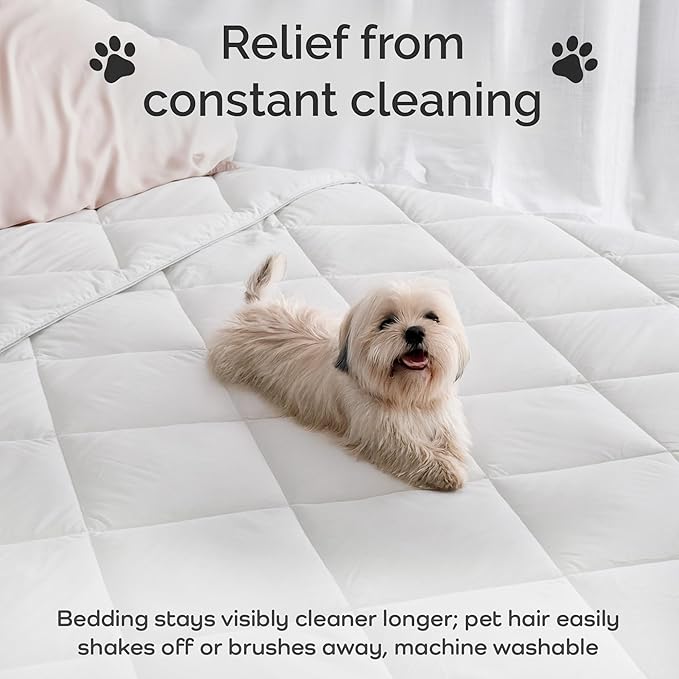 100% Viscose Derived from Bamboo Comforter, Cooling Comforter, Duvet Insert, Breathable, Extra Fluffy, Lightweight Comforters, Twin XL Size