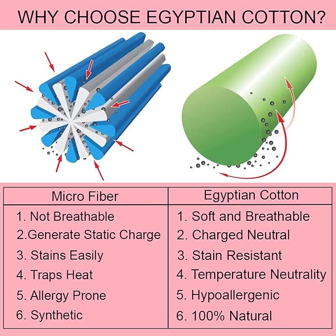 100% Egyptian Cotton Duvet Cover Queen 800 Thread Count Long Staple Quilt 1 Duvet Cover 2 Pillow Shams Solid Pattern Silky Soft, Breathable Cover Set 3 Piece All Season Set for Comforter(Teal)