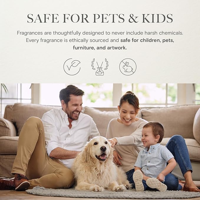 Scentiment Diffuser Oil - Cedar Leather Fall Collection | Aromatherapy Home Fragrance | Luxurious Scent with Lemon, Jasmine Sandalwood, Amber, Lavender, Vanilla, & Musk (120ml)