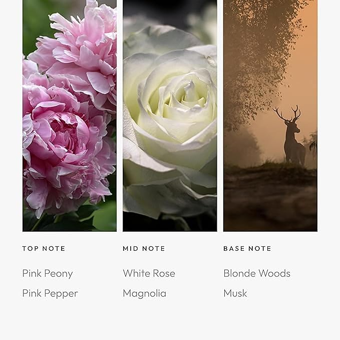 Aroma360 Timeless 200mL