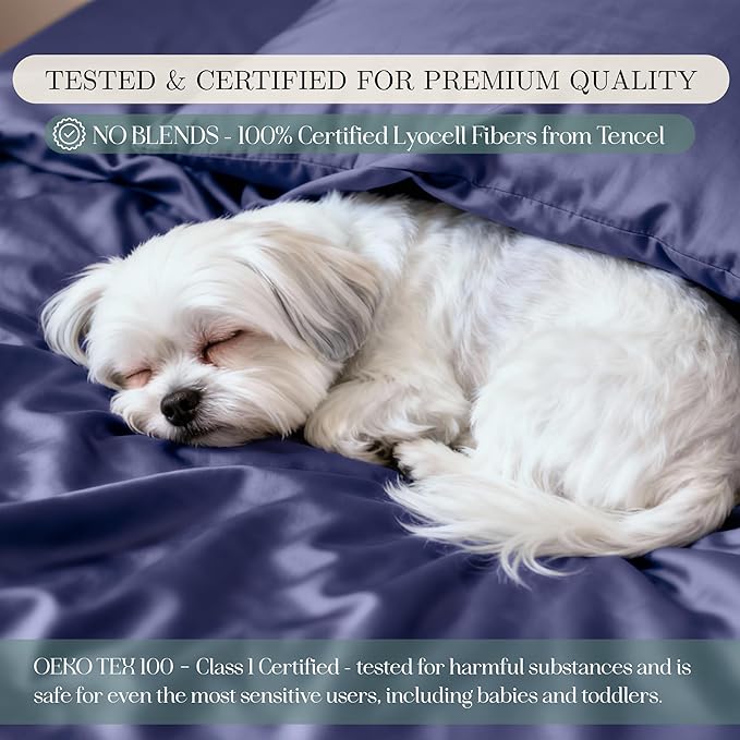 CASILVA Eucalyptus Sheets - Infused with Silver for Anti-Odor, Softer Than Silk Fibers, More Cooling Than Cotton - Perfect for Hot Sleepers & Sensitive Skin - 100% Tencel Lyocell - King Sheet Set
