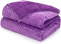 Minky Dot Weighted Blanket for Adults Twin Size 15 lbs, Warm Sherpa Snuggle Heavy Blanket for Autumn Winter with Glass Beads, Great for Stress Relief and Sleep Promotion, Purple 48 x 72 inches