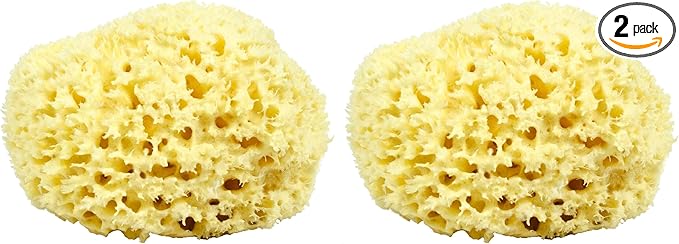 Sea Wool Sponge - All Natural Honeycomb Renewable Sea Sponge, Hand Cut, Jumbo, Approx. 7 Inches (Pack of 2)