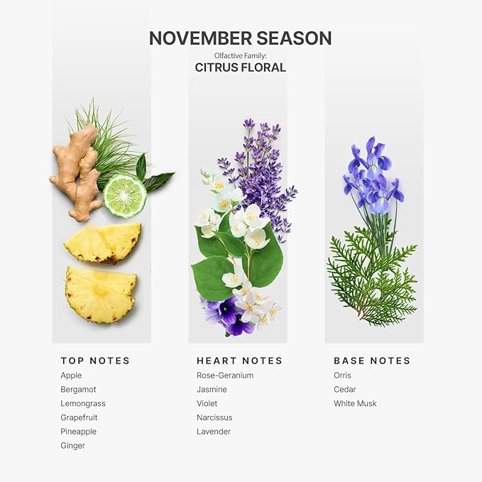 AromaPlan Hotel Scents November Season 5 Fl Oz (148ml), Home Luxury Aroma & Hotel Fragrance Diffuser Oil- Hotel Diffuser Oil for Aromatherapy- USA Made, Bigger Bottle, Bolder Aroma & Longer Lasting