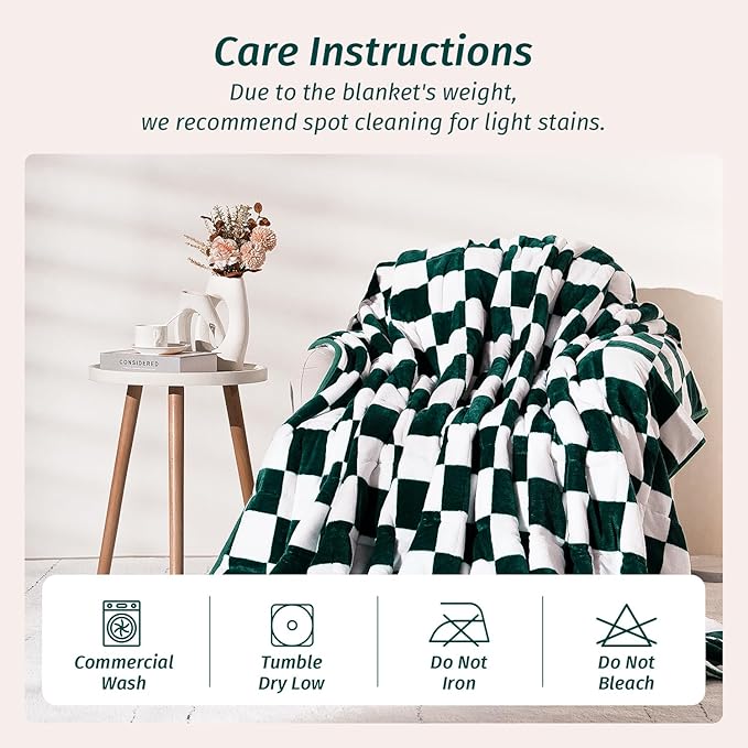 Wemore Flannel Fleece Weighted Blanket for Adult Queen Size 15 lbs, Dual Sided Luxurious Checkerboard Grid Heavy Blankets, Ultra Soft Throw Blanket, Plaid Green, 60 x 80 inches