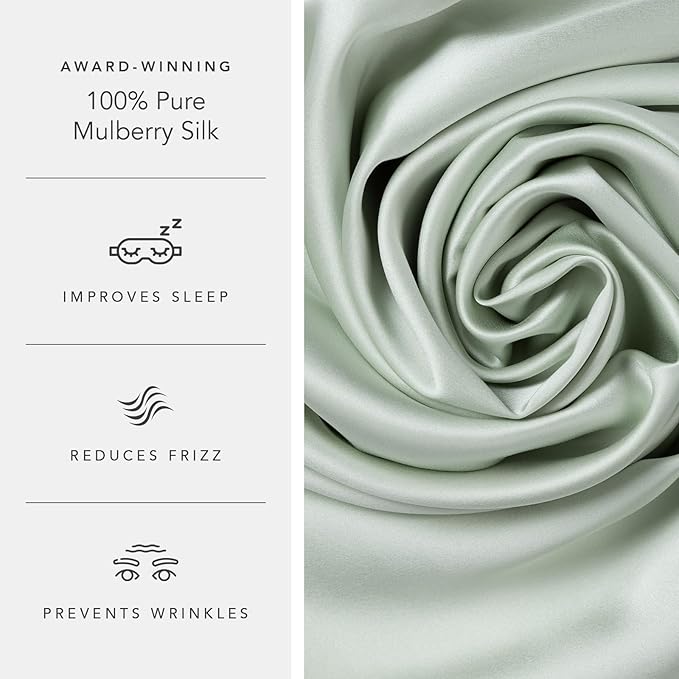 Fishers Finery 25mm 100% Pure Mulberry Silk Pillowcase (Light Green Queen 2 Pack)