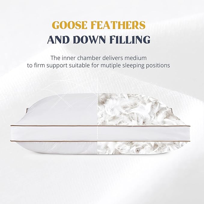 puredown® Goose Feathers and Down Pillow for Sleeping Hotel Collection Bed Pillows, Gusseted, Standard/Queen, Set of 2