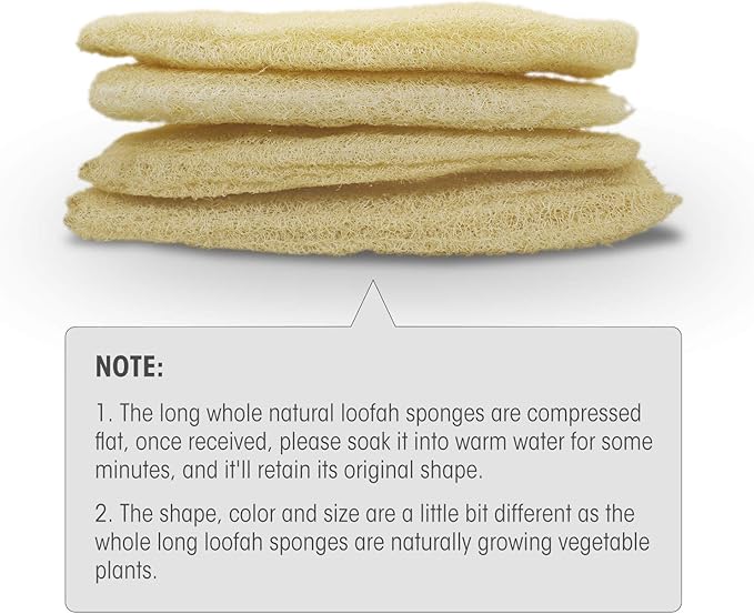 Natural Organic Loofah Sponges Large Exfoliating Shower Bath Loofah Luffa Loofa Body Scrubbers Sponges for SPA Beauty Bath and Radiant Skin, Pack of 4