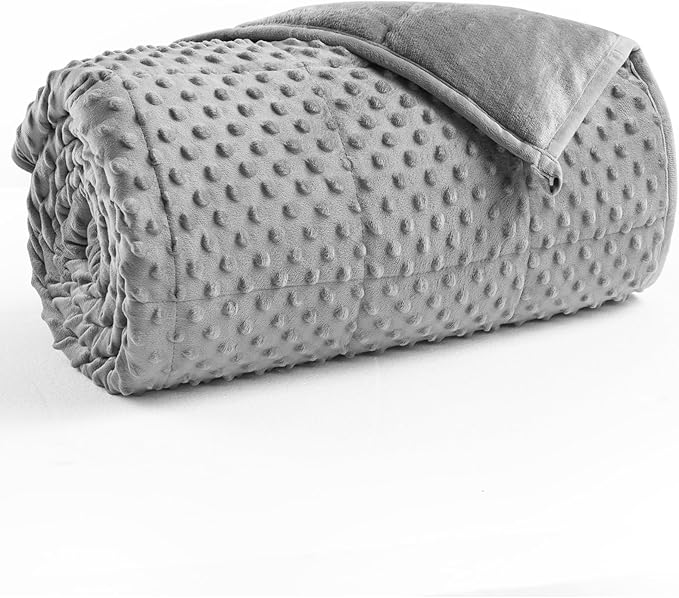 Minky Dot Weighted Blanket for Adults Queen Size 15 lbs, Soft Cooling Heavy Breathable Blanket for All-Season, Washable Weighted Throw with Glass Beads, 60 x 80 Inches, Grey