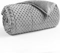 Minky Dot Weighted Blanket for Adults Queen Size 15 lbs, Soft Cooling Heavy Breathable Blanket for All-Season, Washable Weighted Throw with Glass Beads, 60 x 80 Inches, Grey