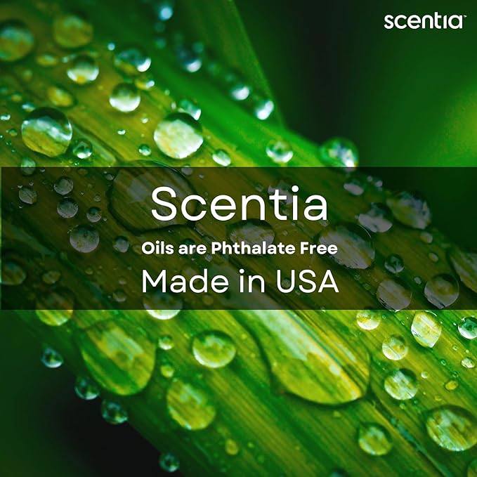 Scentia Hotel Diffuser Oil Inspired by The Hotel Costes Paris - 20 mL 0.67 fl oz - Fragrance Oil Blend Rose, Clove & Sandalwood for Aromatherapy Diffuser & Humidifiers - Paris, Thanksgiving Gift