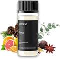 Fierce-Inspired Diffuser Oil - Scentia You Fragrance Oil Perfume Dupe - 50mL, 1.69 Fl oz Diﬀusers - A & F Inspired Essential Scented Oil - Best for Aromatherapy, SPA and Home, Thanksgiving Gift