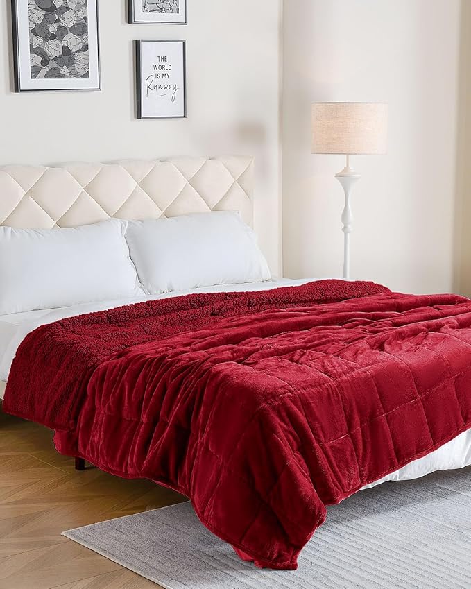 Uttermara Sherpa Fleece Weighted Blanket 20 lbs for Adult, Unicolor Ultra-Soft Fleece and Sherpa, Dual Sided Cozy Plush Blanket for Sofa Bed, 60 x 80 inches, Red