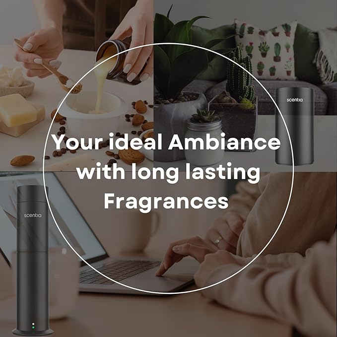 Scentia Hotel Diffuser Oil Inspired by The 5- Star Hotel Scent - 500 ml 16.9 fl oz - Essential Oil Diffuser Refill, White Tea Oil for Aromatherapy Diffusers - Dream Walk, Thanksgiving Gift