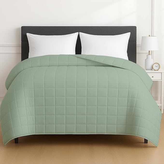 HomeSmart Products 40lbs Weighted Blanket Queen Size - Breathable, Hypoallergenic Soft Fabric, Extra Heavy Weighted Blanket Green Sage